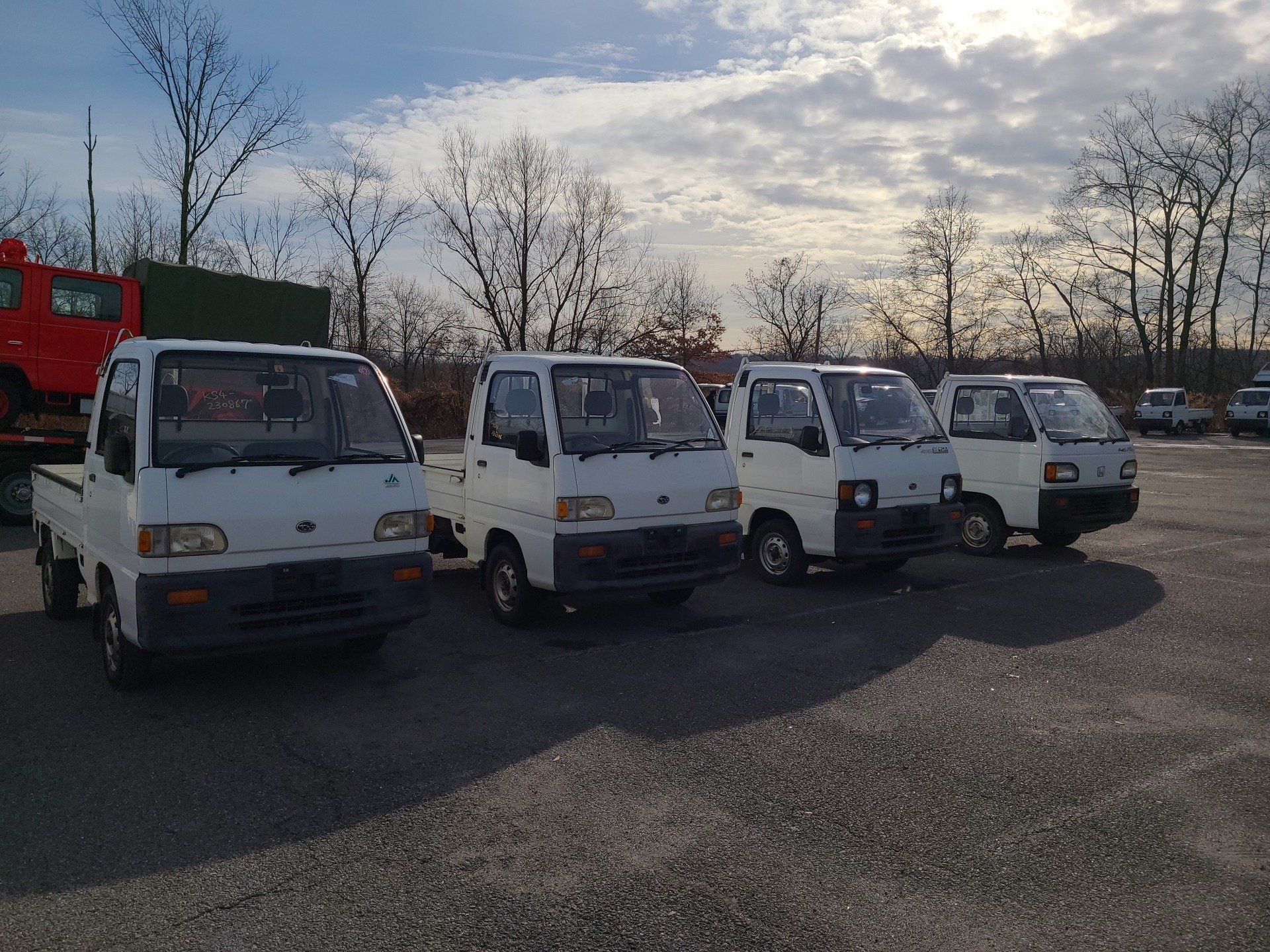 HVNY Imports photo gallery