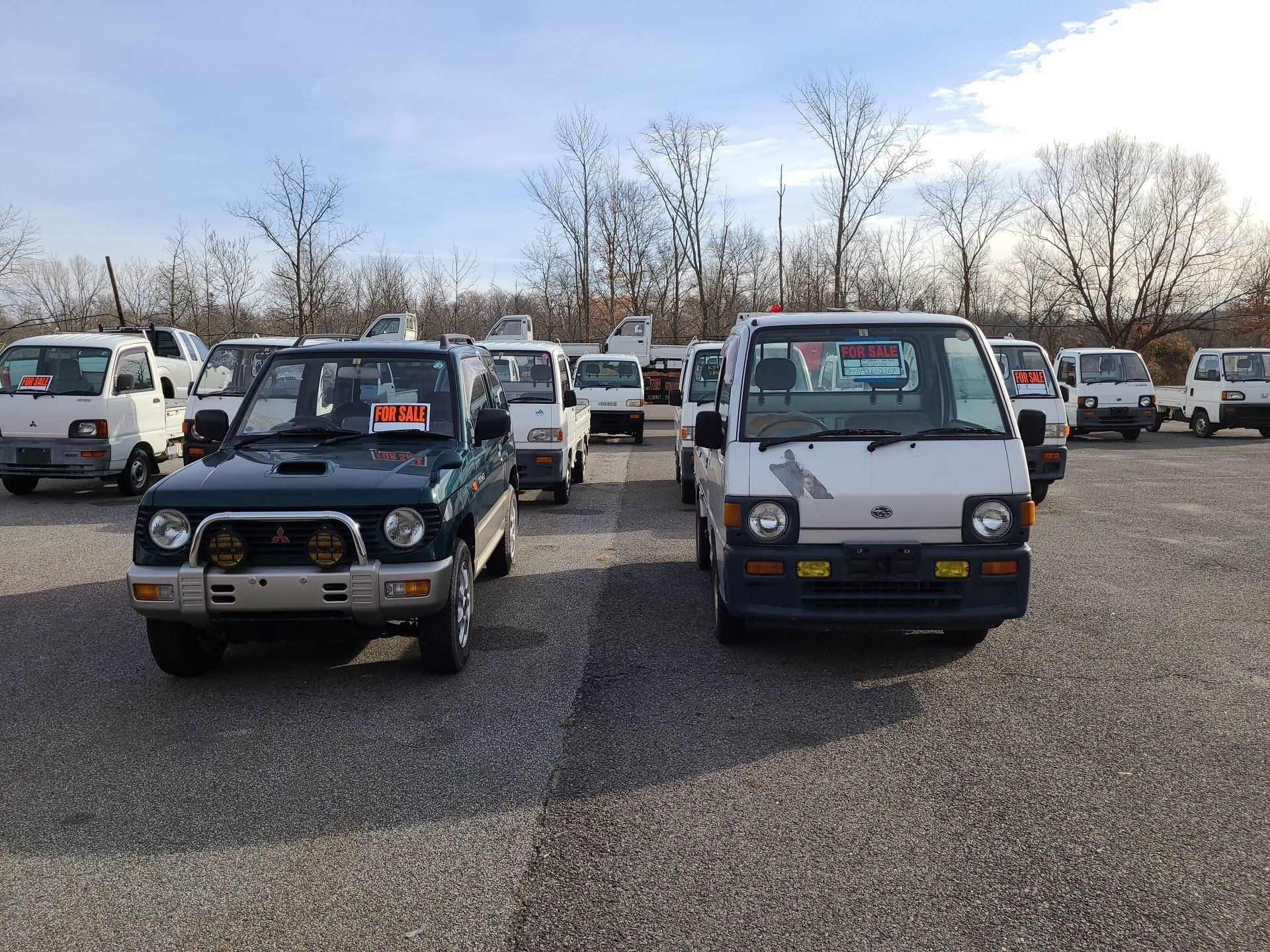 HVNY Imports photo gallery