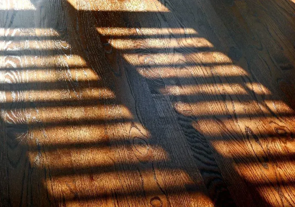 Sunlight casts long, horizontal striped shadows across a dark-stained hardwood floor.