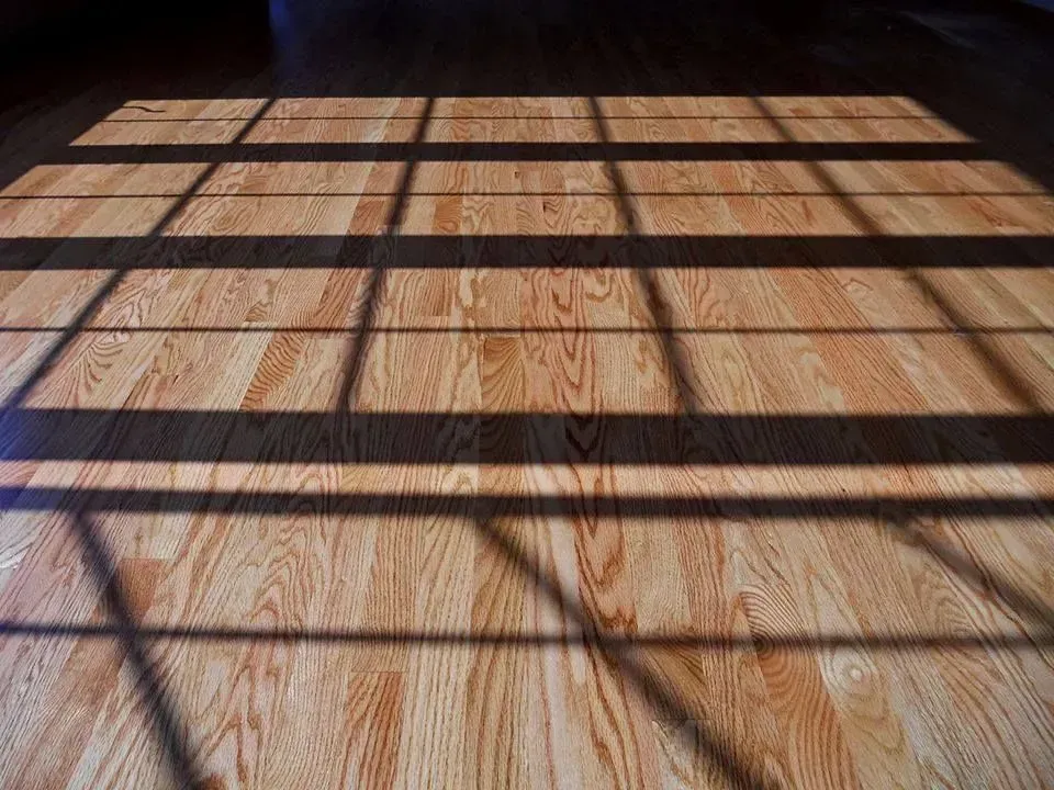 Light streams through a window, casting a grid-like shadow pattern across polished wooden floorboards.