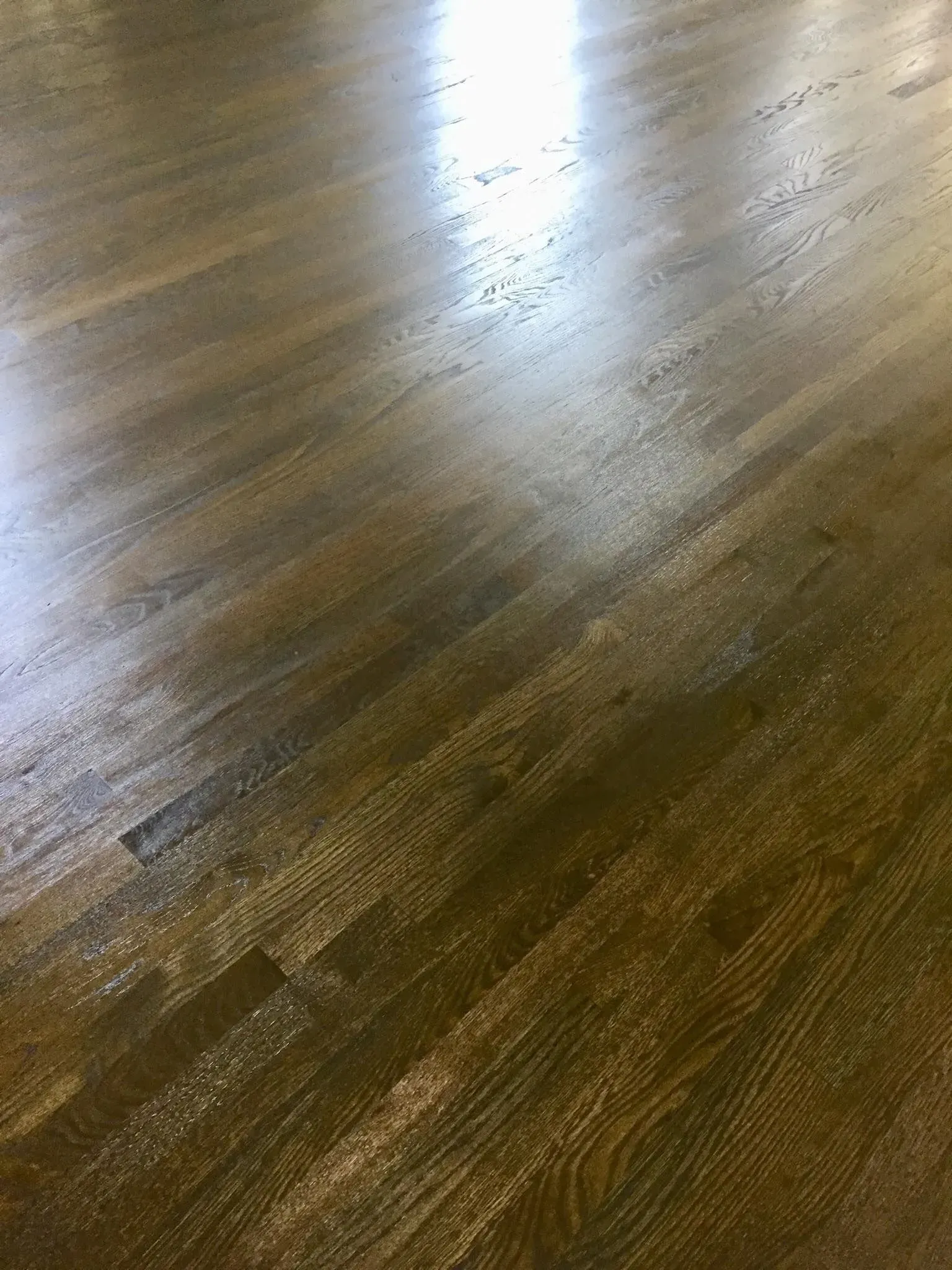 A close-up, high-angle view of stained hardwood floorboards with a reflective, glossy finish.