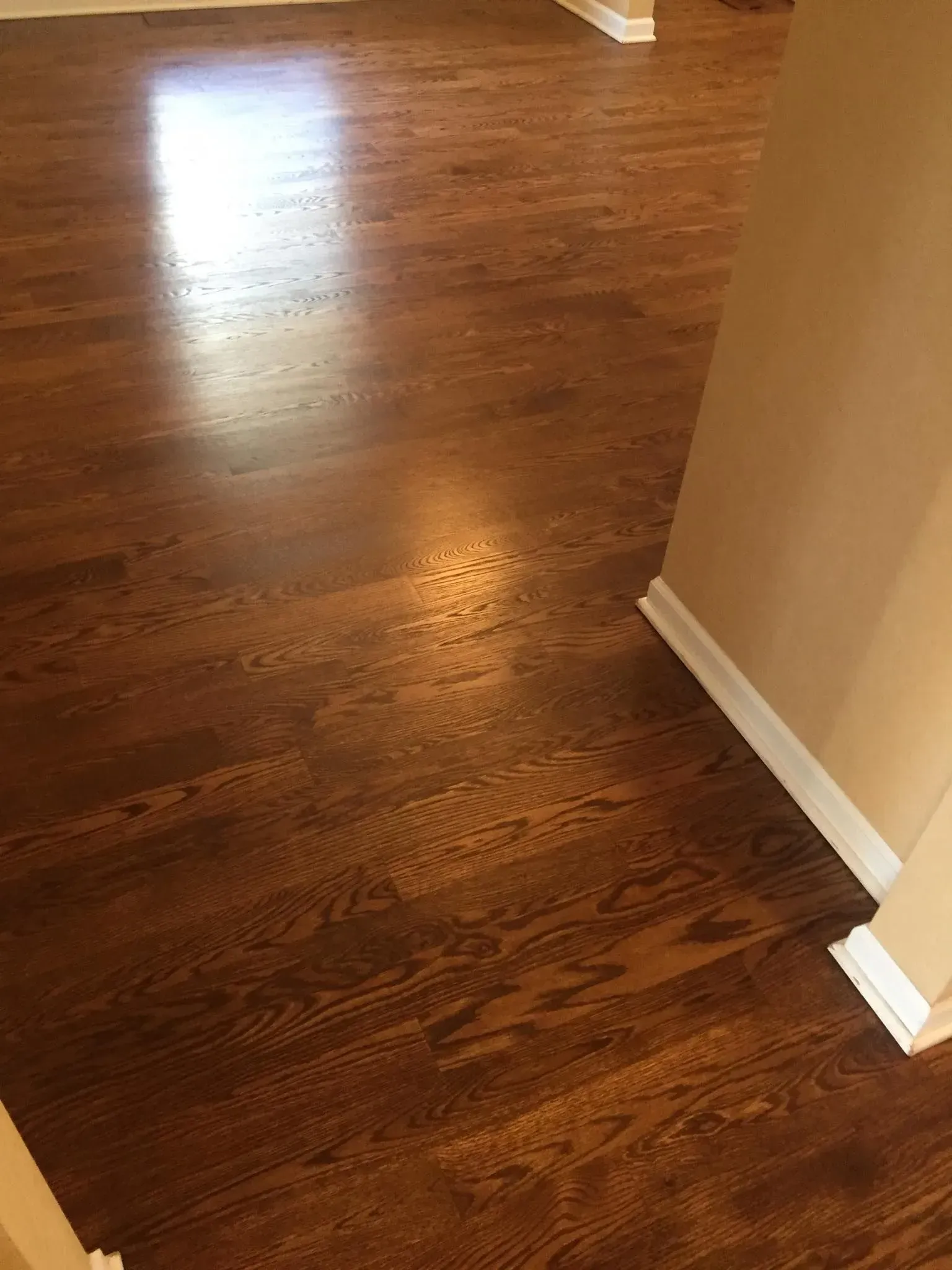 High-angle view of dark brown, polished hardwood flooring in a room with neutral walls and white baseboards.