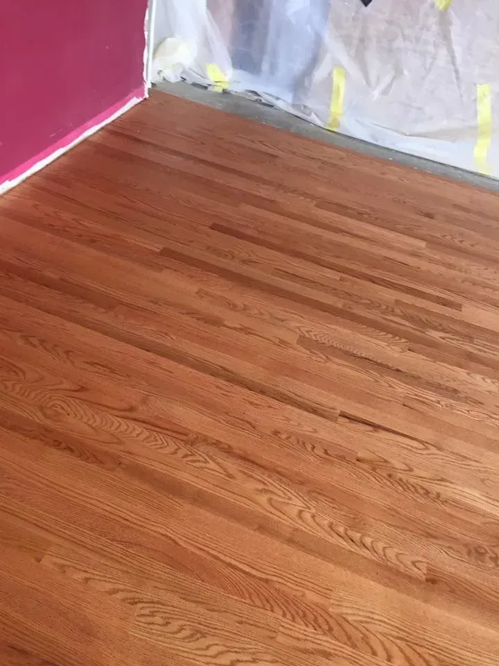 A newly finished red oak hardwood floor with a warm stain, next to a pink wall and protective plastic sheeting.