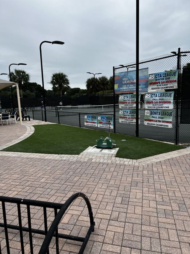 Custom Synthetic Turf
