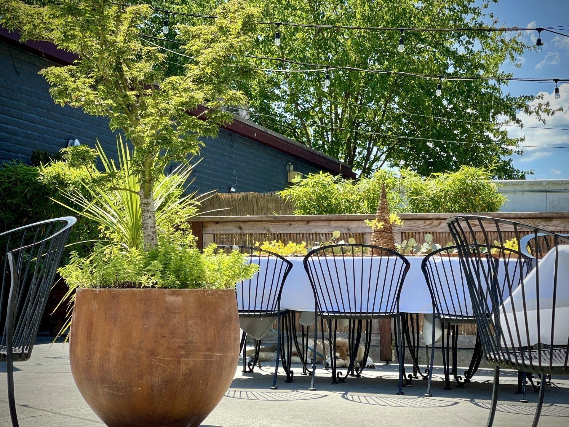 Outdoor Wedding Event Space at Neighborhood Grills Catering