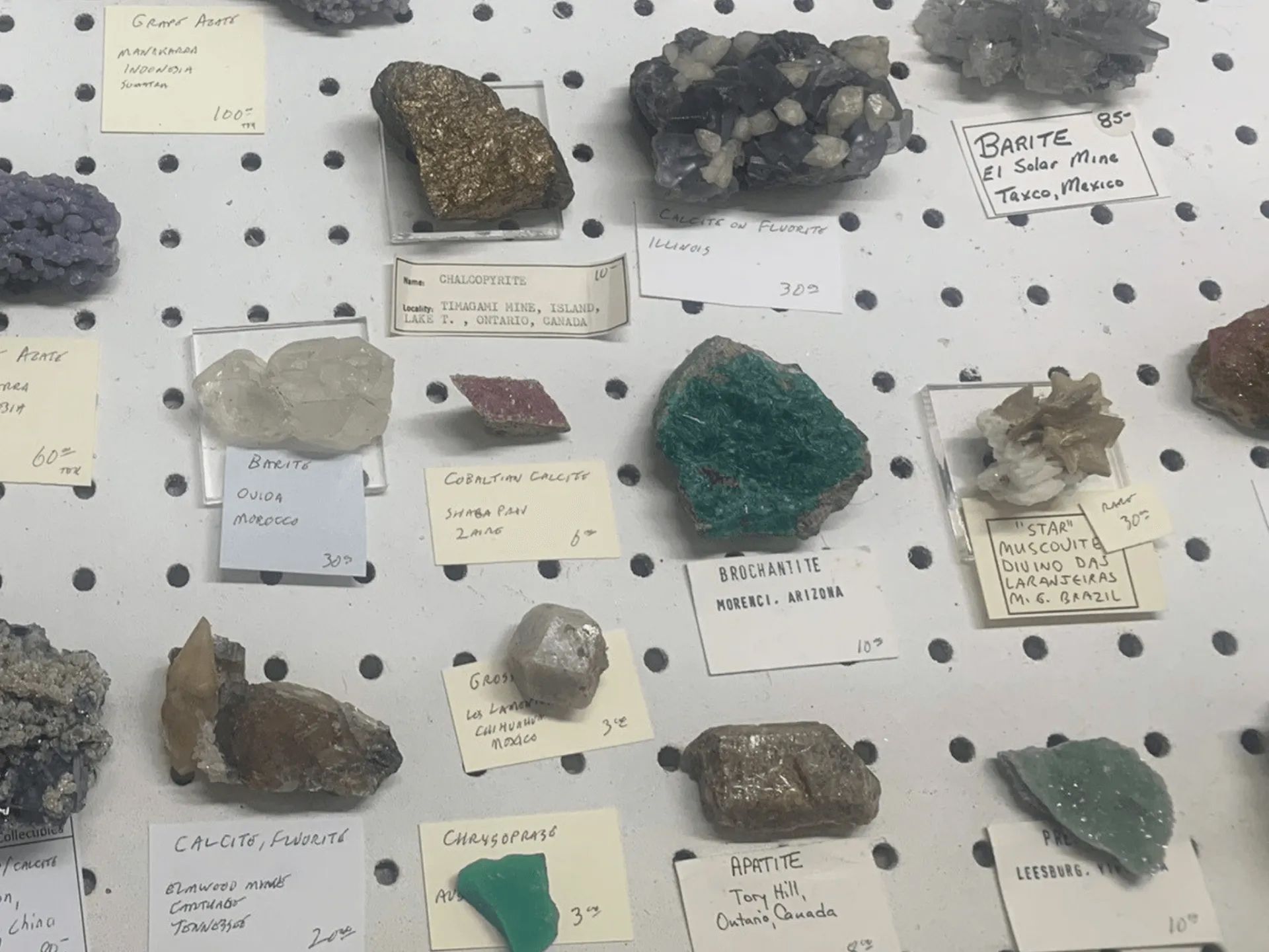 A collection of rocks and minerals on a display board