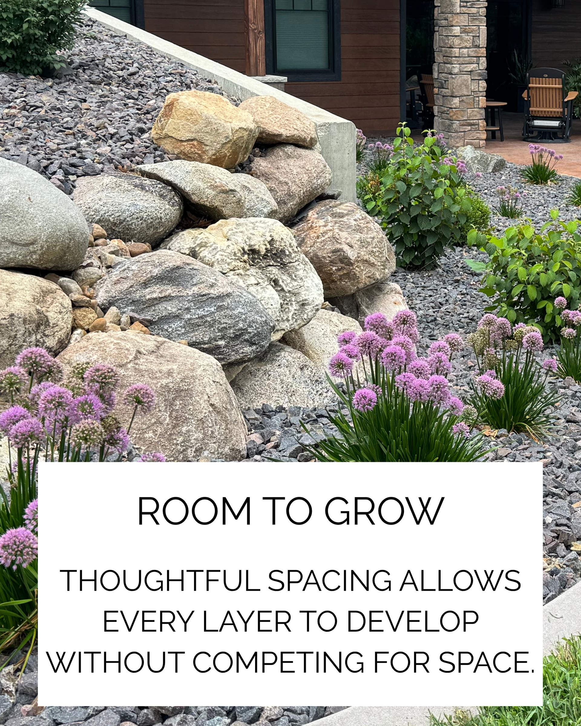 Purple flowering ornamental alliums planted beside a natural boulder retaining wall with shrubs and trap rock.