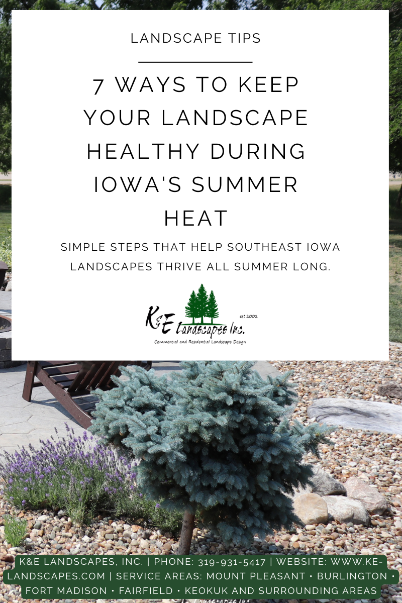 Infographic on 7 ways to keep your landscape healthy during Iowa’s summer heat, with a garden photo.