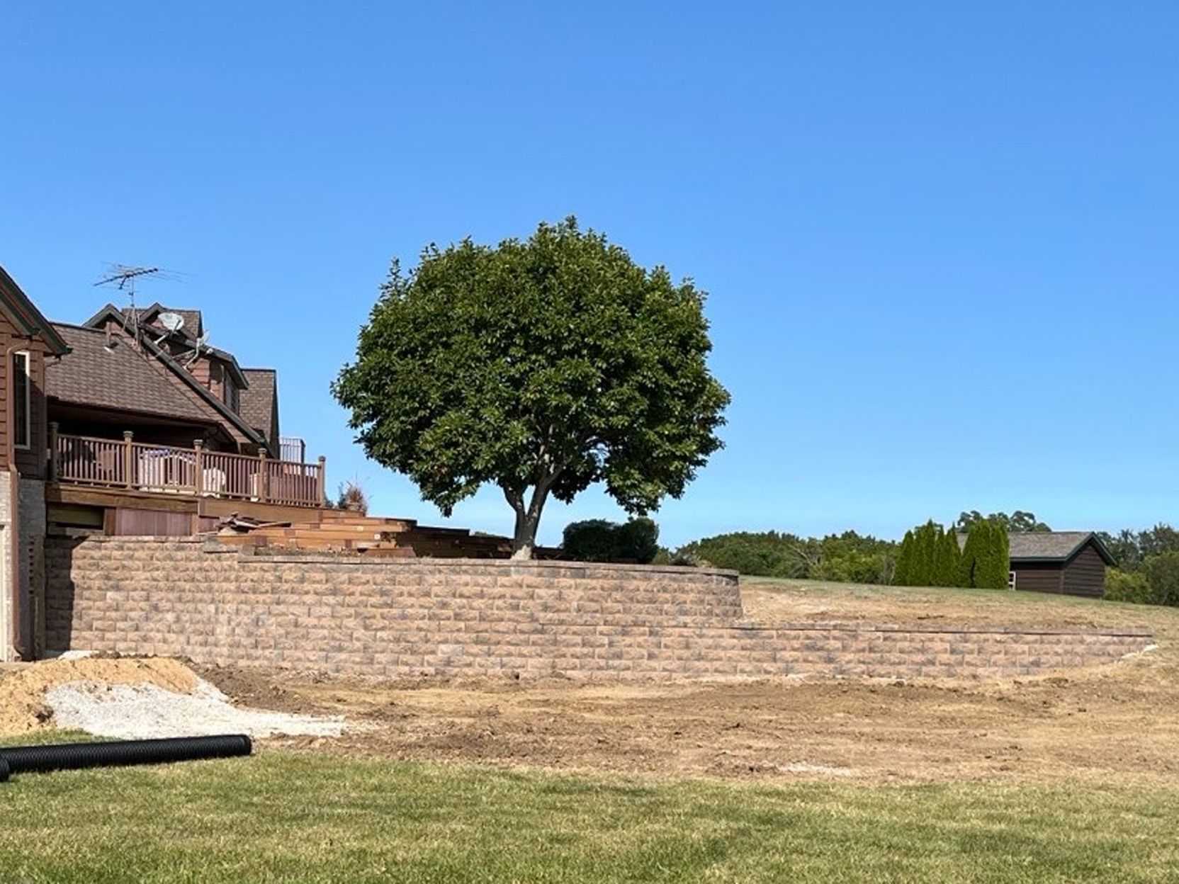 Stone terrace with a large green tree beside a rustic house under a clear blue sky
