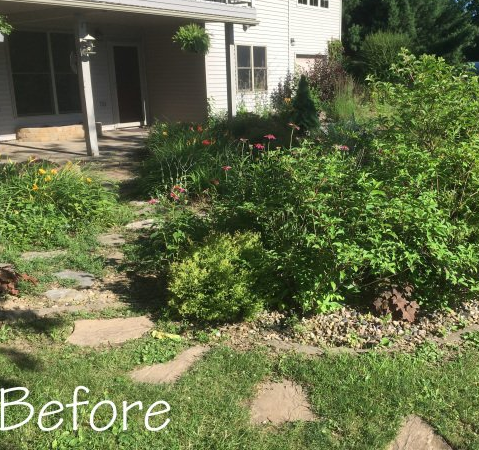 Overgrown front yard with stepping stones and a porch in the background