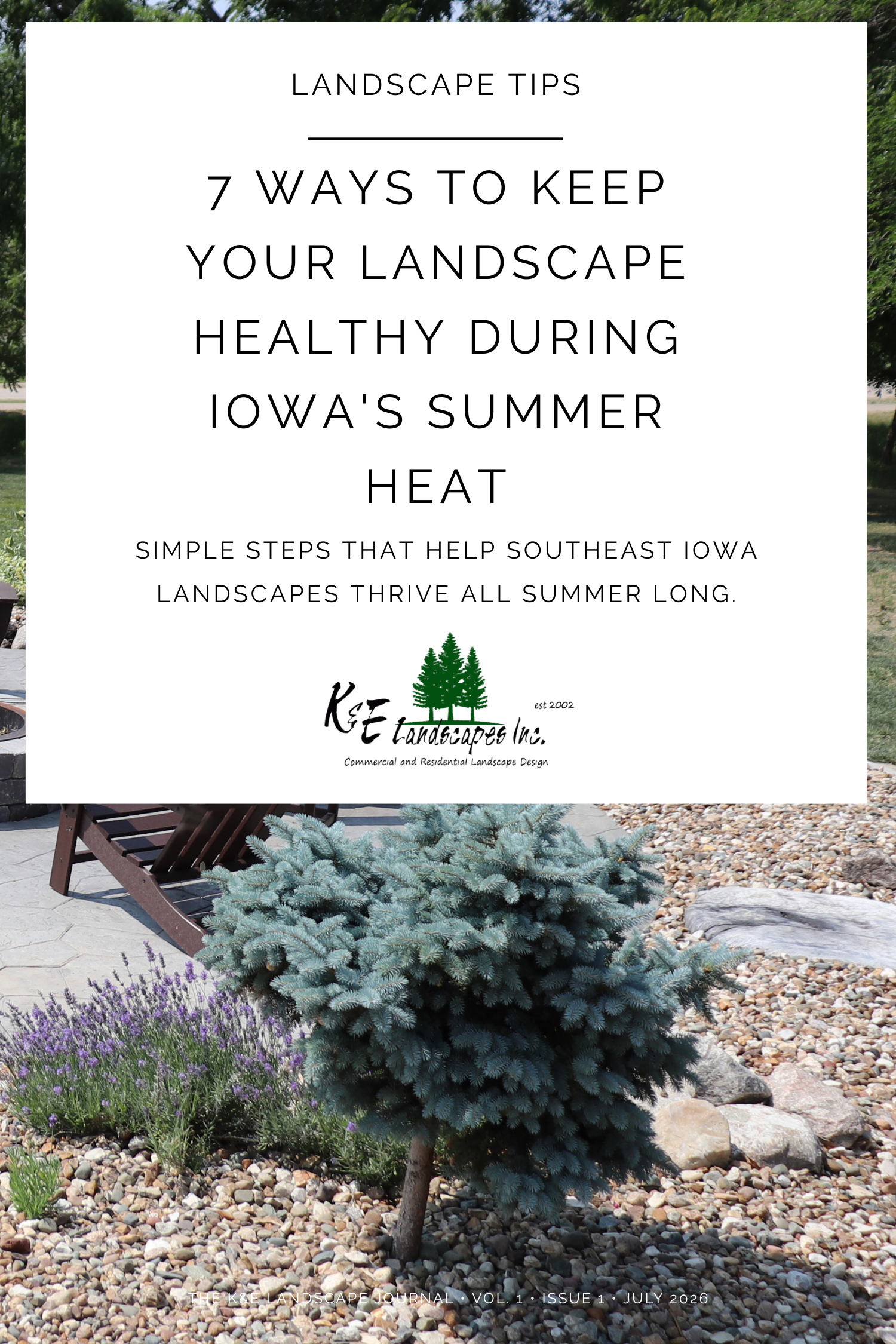 Infographic on 7 ways to keep your landscape healthy during Iowa’s summer heat, with a garden photo.