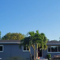A house with a palm tree in front of it on a sunny day.