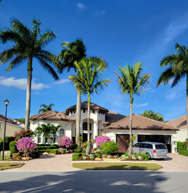 A house with palm trees