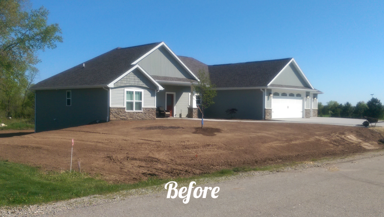 Yard before landscaping