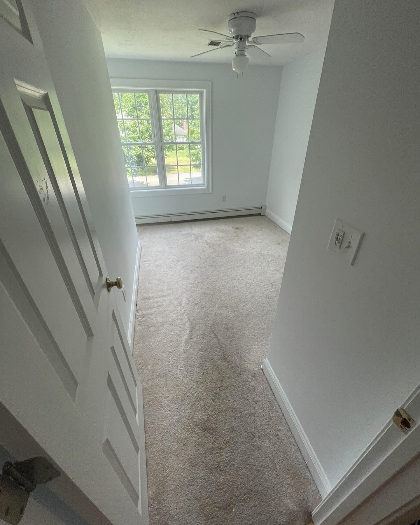 View of a small, empty room with beige carpet, white walls, a ceiling fan, and a single window showing trees outside.