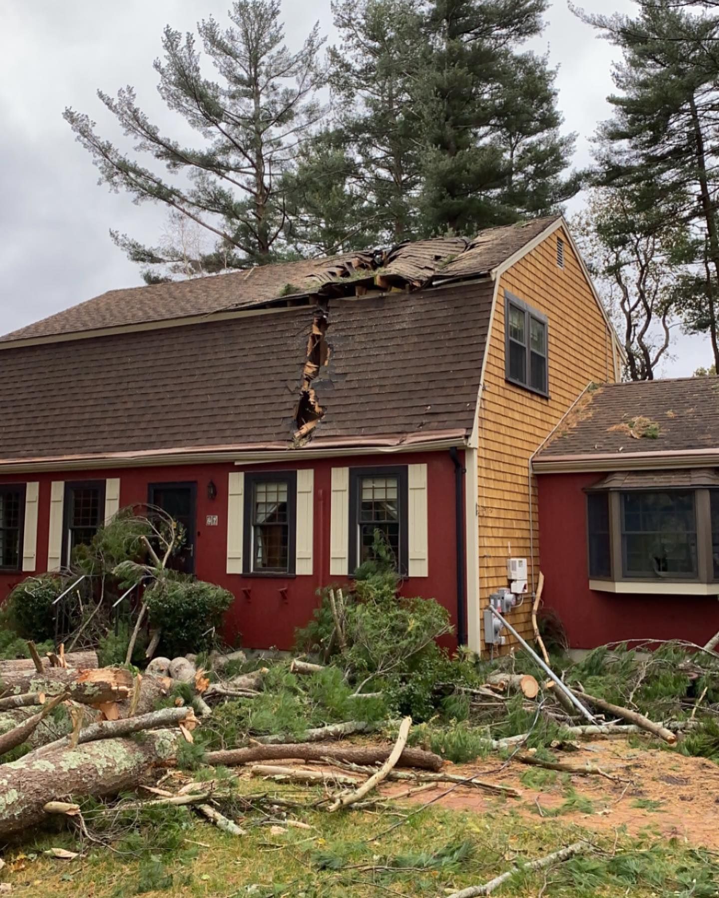 A red house with a yellow side wall suffers roof and structural damage from a fallen tree, with debris scattered in front.