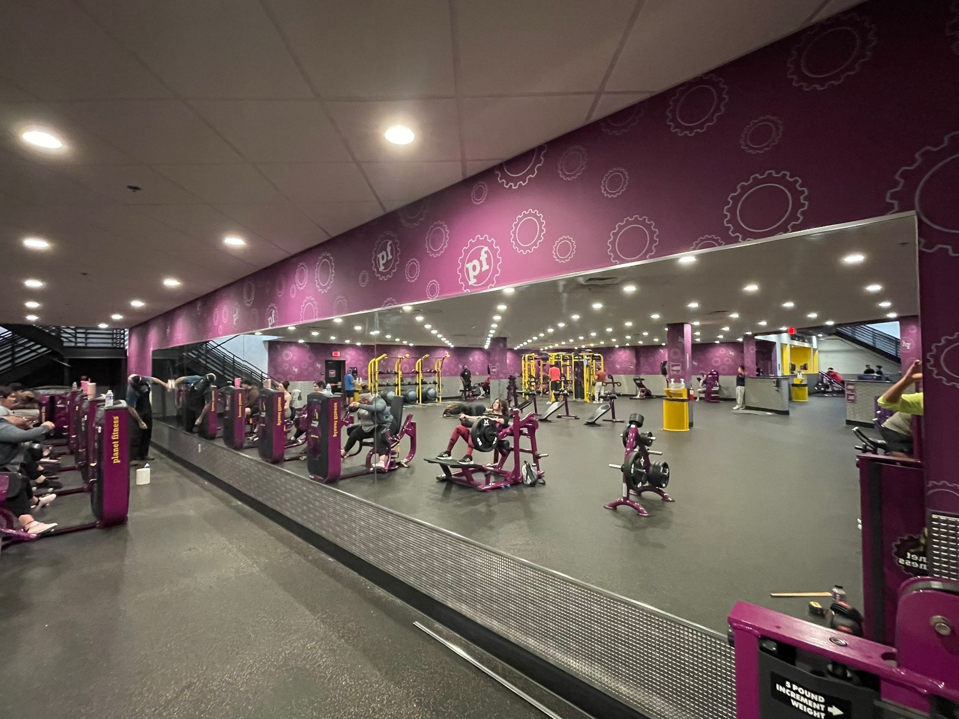 Wide view of a purple gym with rows of exercise machines and mirrored walls