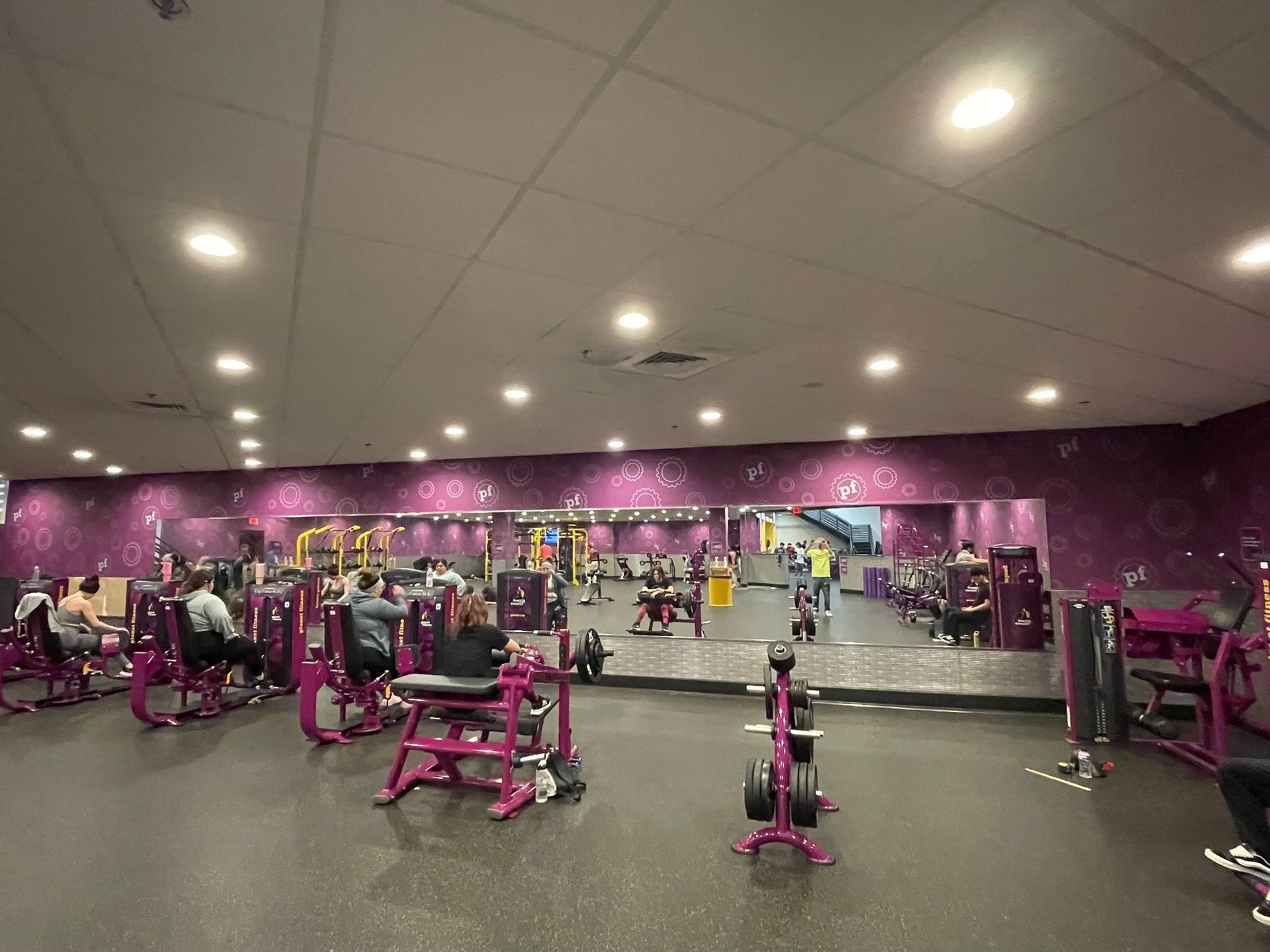 People exercising on purple strength training machines in a brightly lit gym.