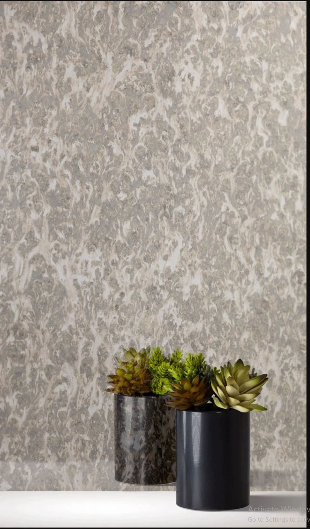 Two small potted succulents on a white shelf against textured gray wallpaper