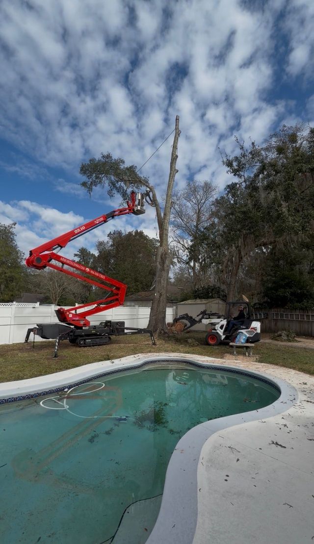 Red crane lift beside a backyard pool, reaching up to trim a tall tree under a cloudy sky.