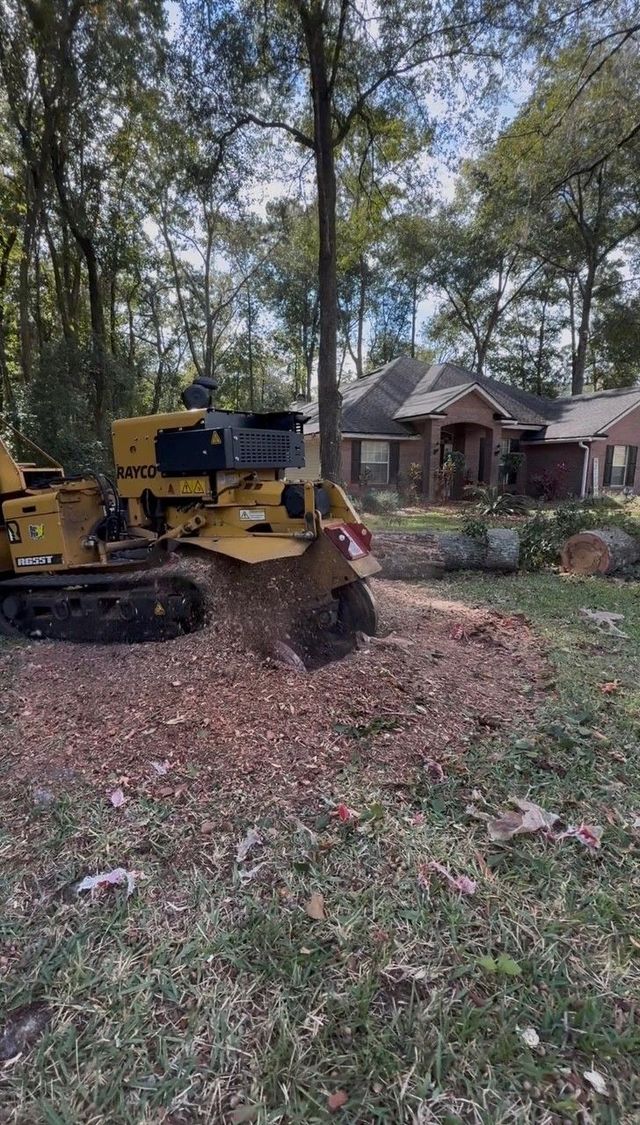 Yellow excavator clearing leaves in a wooded yard near a house