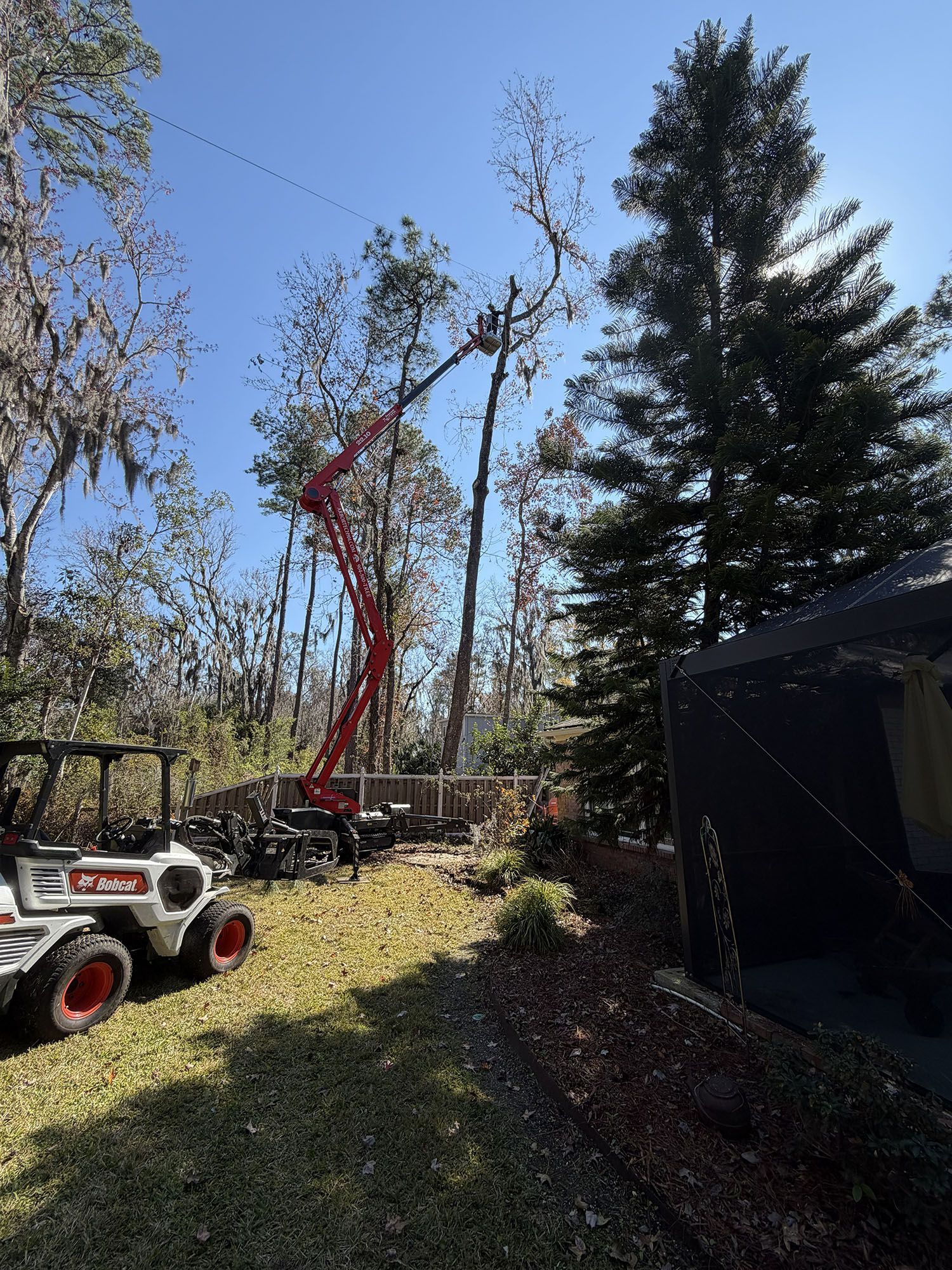 Red cherry picker and white utility vehicle in a sunny wooded yard beside a black shed.