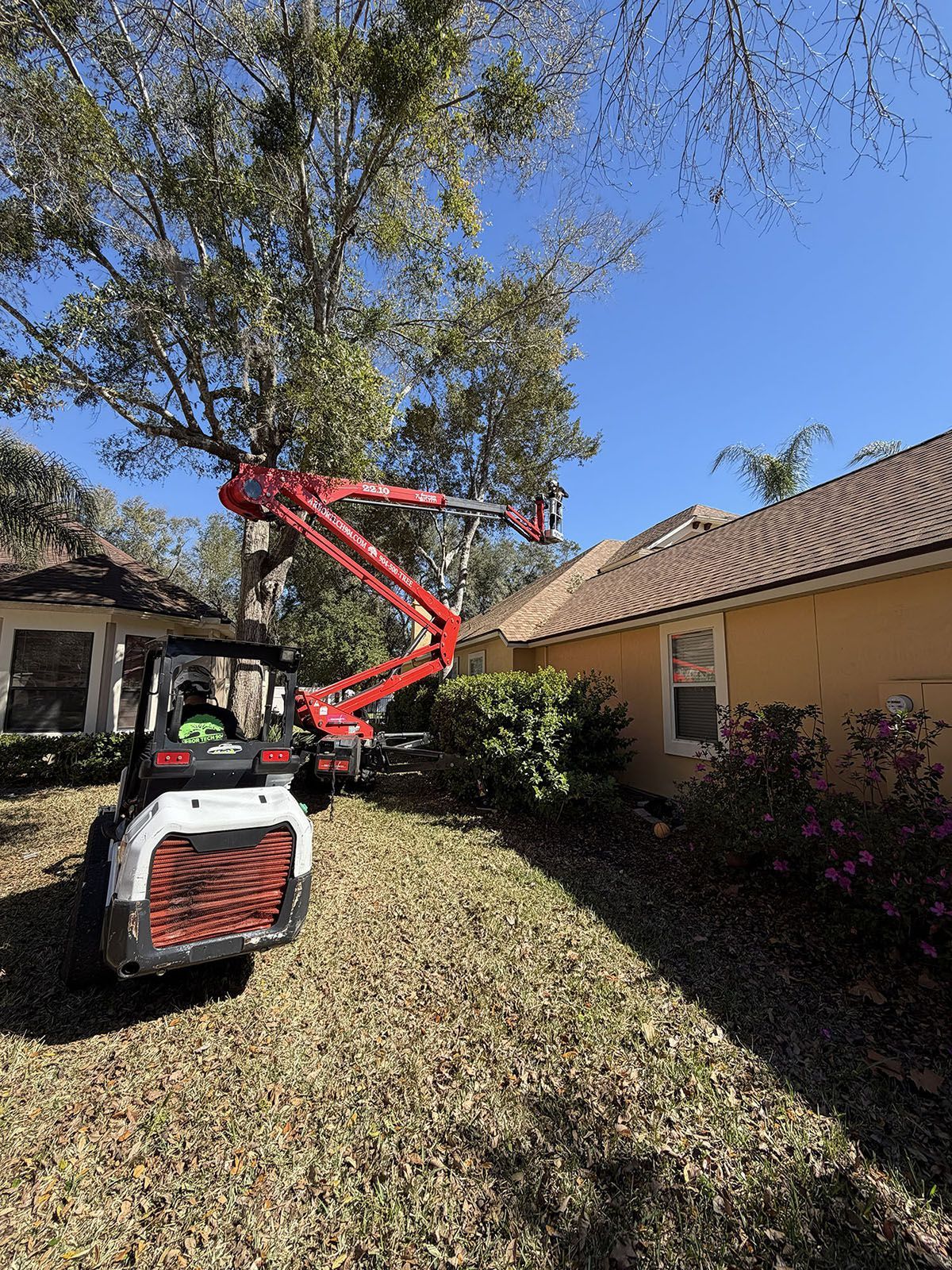 Small lift machine raising a worker toward tree branches beside a house in a leaf-covered yard.