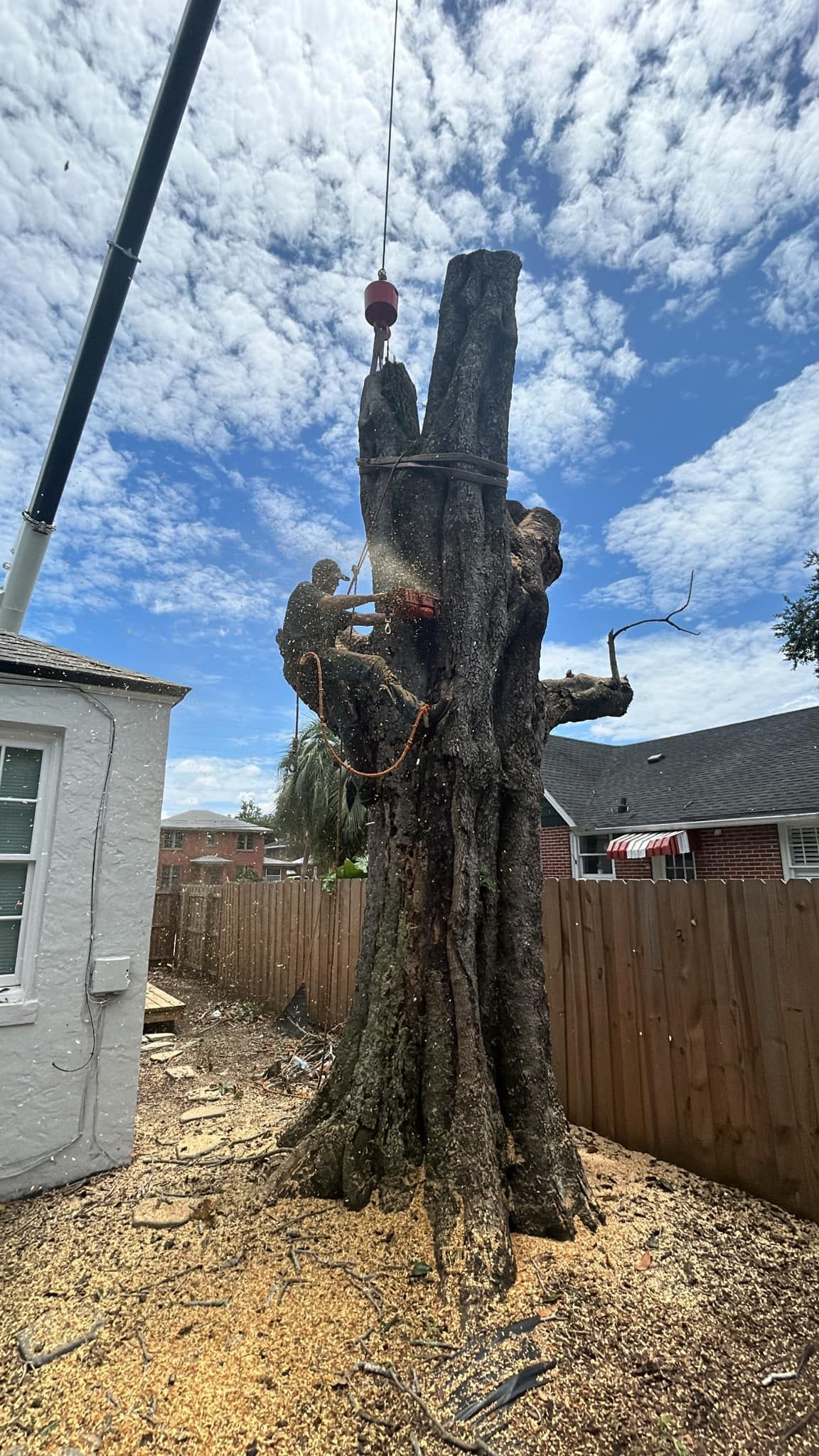 Cut tree stump in a gravel yard beside a wooden fence under a cloudy blue sky.
