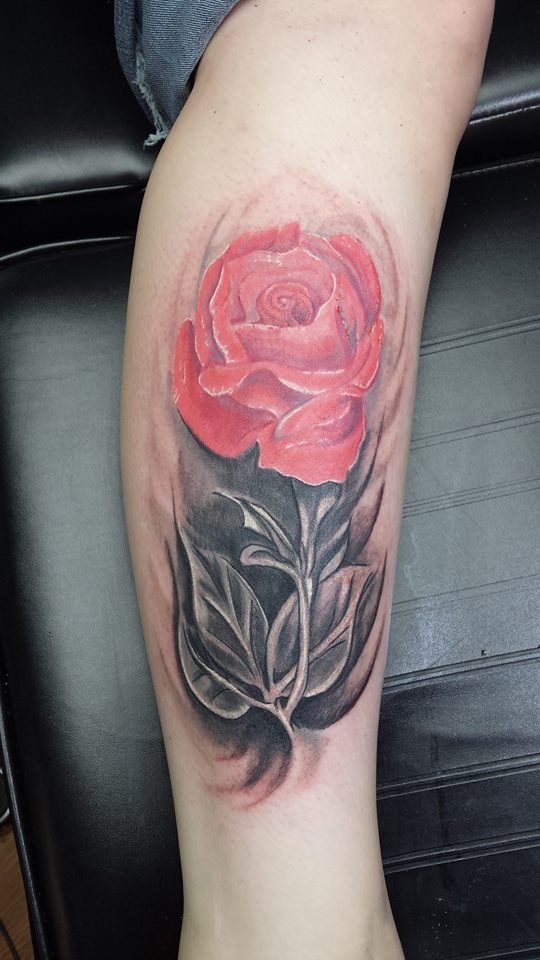 Rose tattoo