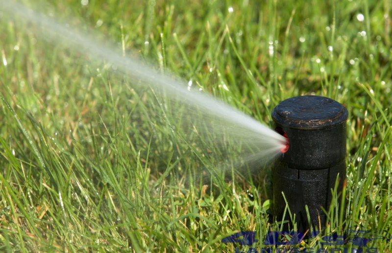 A sprinkler is spraying water on a lush green lawn.