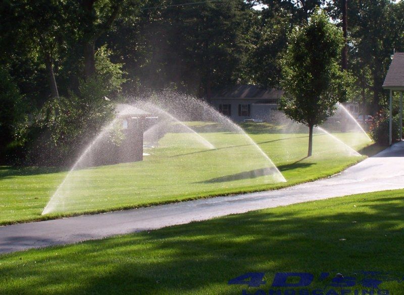 Several sprinklers are spraying water on a lush green lawn