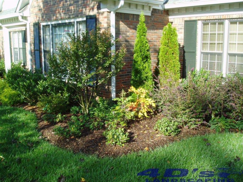 A house with a lot of plants in front of it