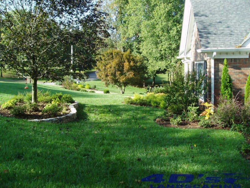 A lush green yard with a brick house in the background