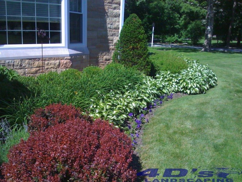 A lawn with a sign that says 4d 's landscaping