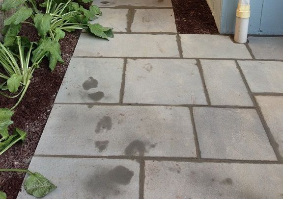 A concrete walkway with plants in the background