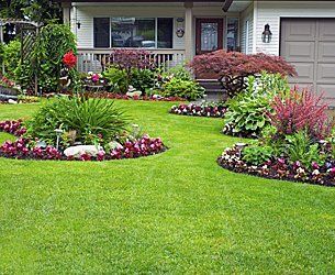 Lawn maintenance and care