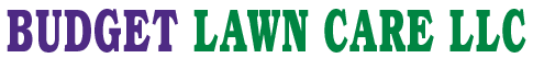 Budget Lawn Care LLC - Logo
