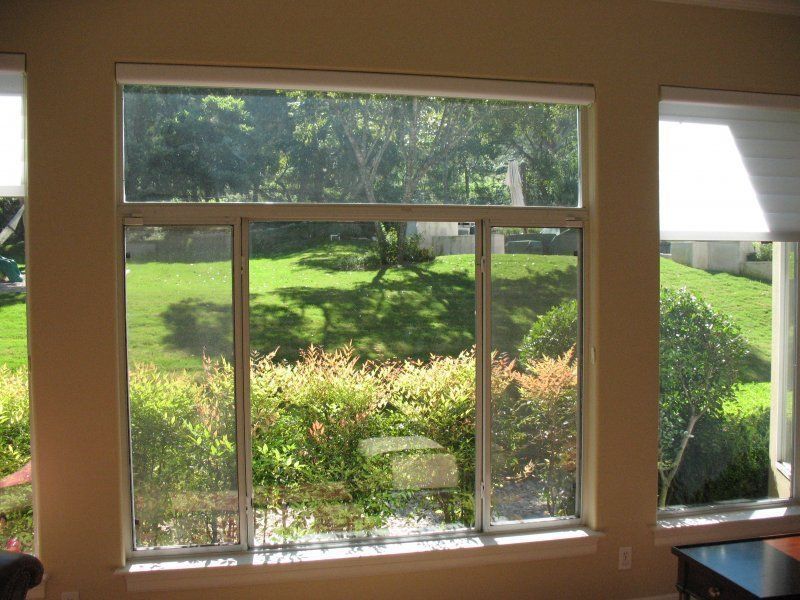 A view through a large three-panel window looking out onto a bright, green, sunlit grassy backyard with shrubs and trees.