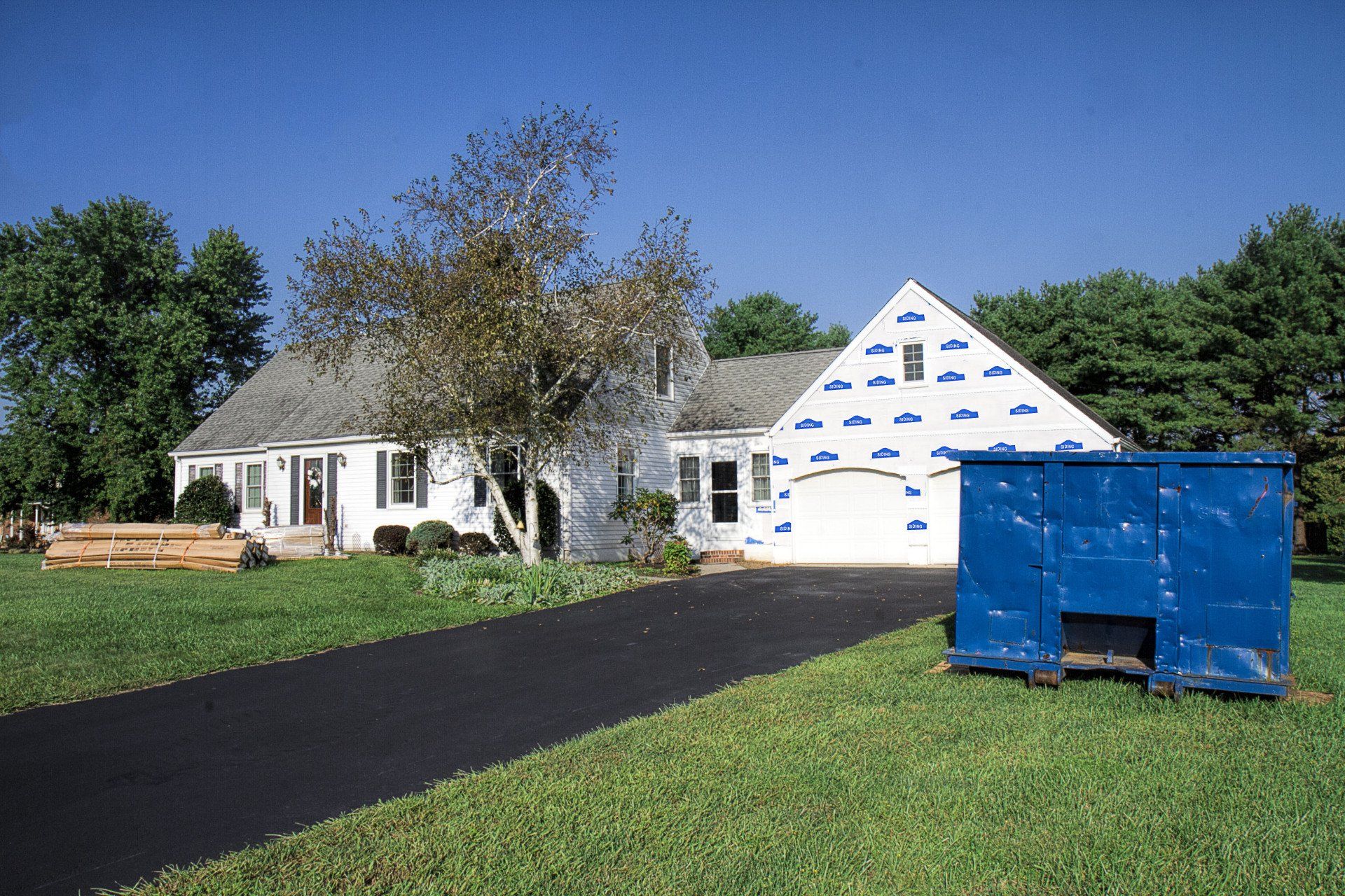 5 Reasons To Trim Your Trees