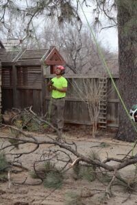 Worker in neon vest and red hard hat cutting branches near a wooden shed in a yard