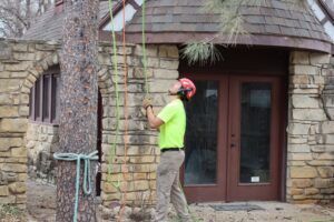 Worker in neon green shirt and red helmet prunes a tree beside a stone building.