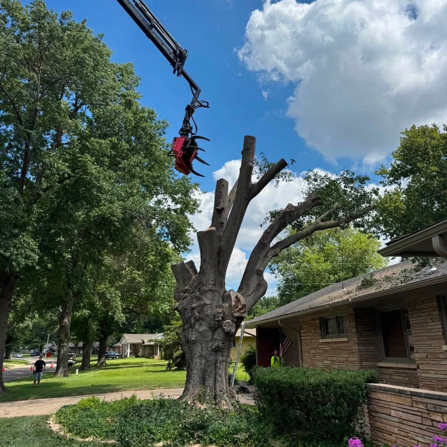 Tree worker in red harness trims a large tree beside a house on a sunny day.