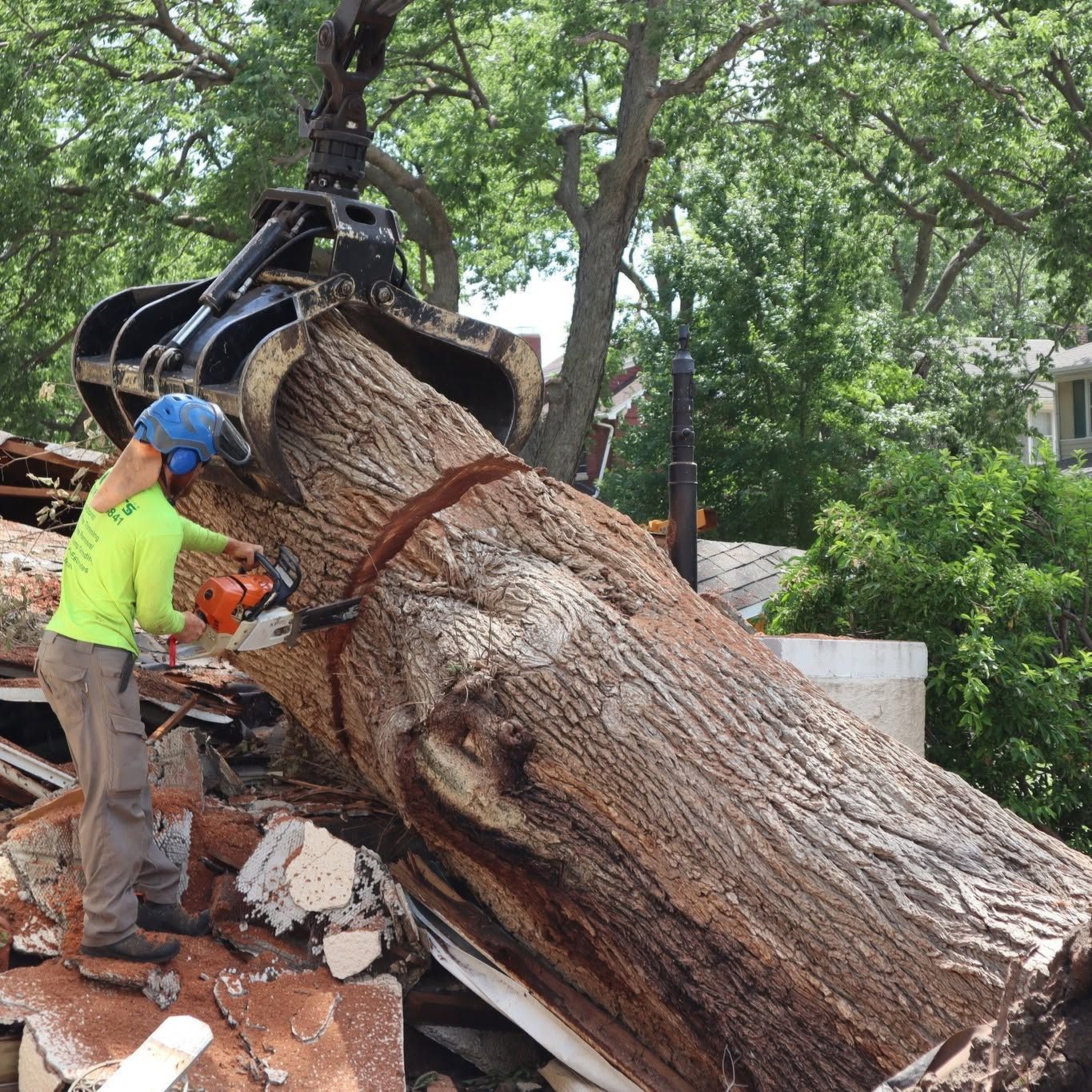 Worker cutting a huge fallen tree trunk with a chainsaw and excavator claw nearby