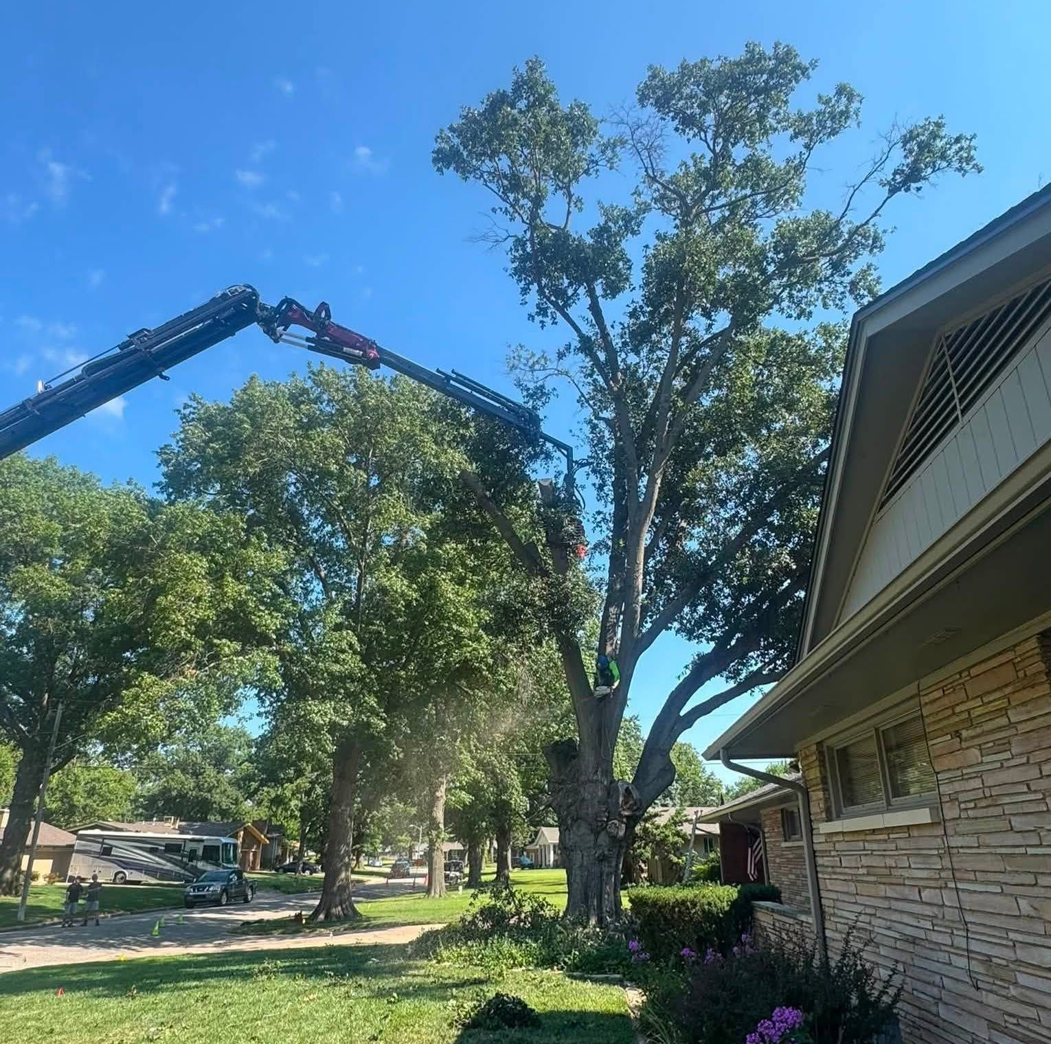 Crane trimming a tall tree beside a house under a clear blue sky