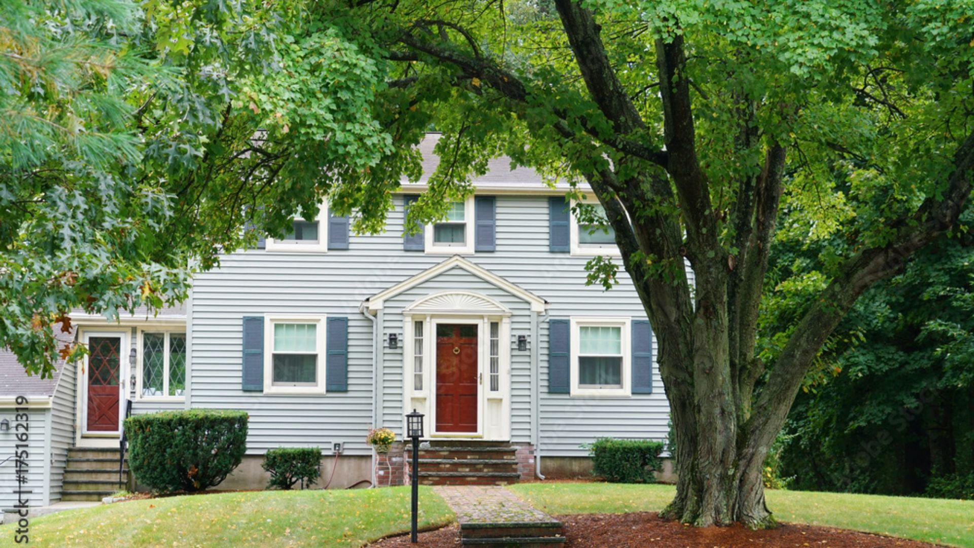 Gray house with white trim and red door, partially obscured by a large leafy tree and green lawn.