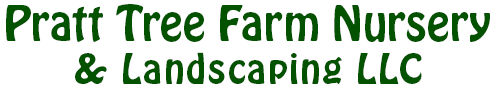 Pratt Tree Farm Nursery & Landscaping LLC-Logo