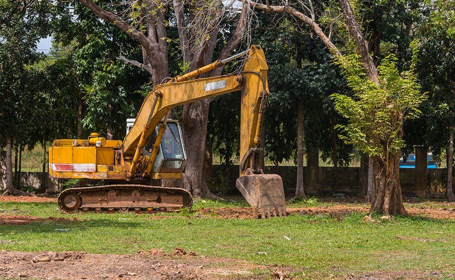 Excavation Specialists