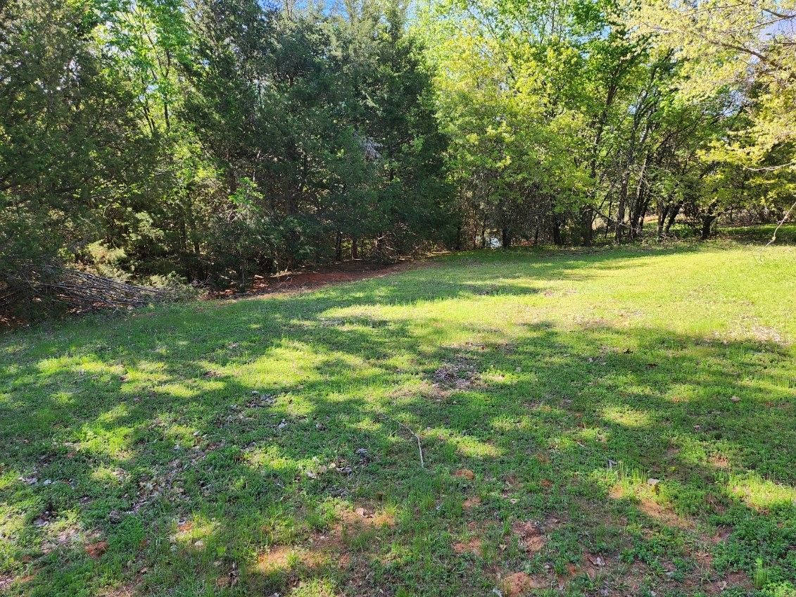 A large lush green field surrounded by trees on a sunny day.