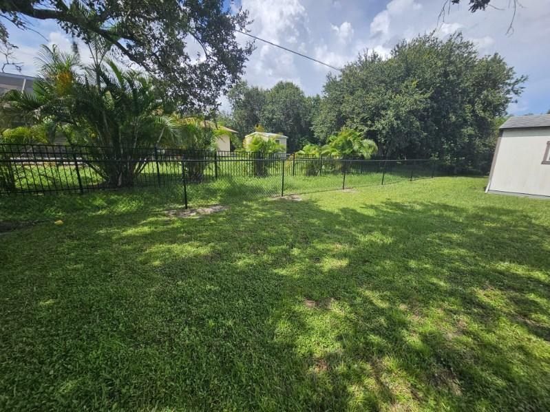 Sunny backyard with green lawn, trees, a metal fence, and a white shed at the edge.