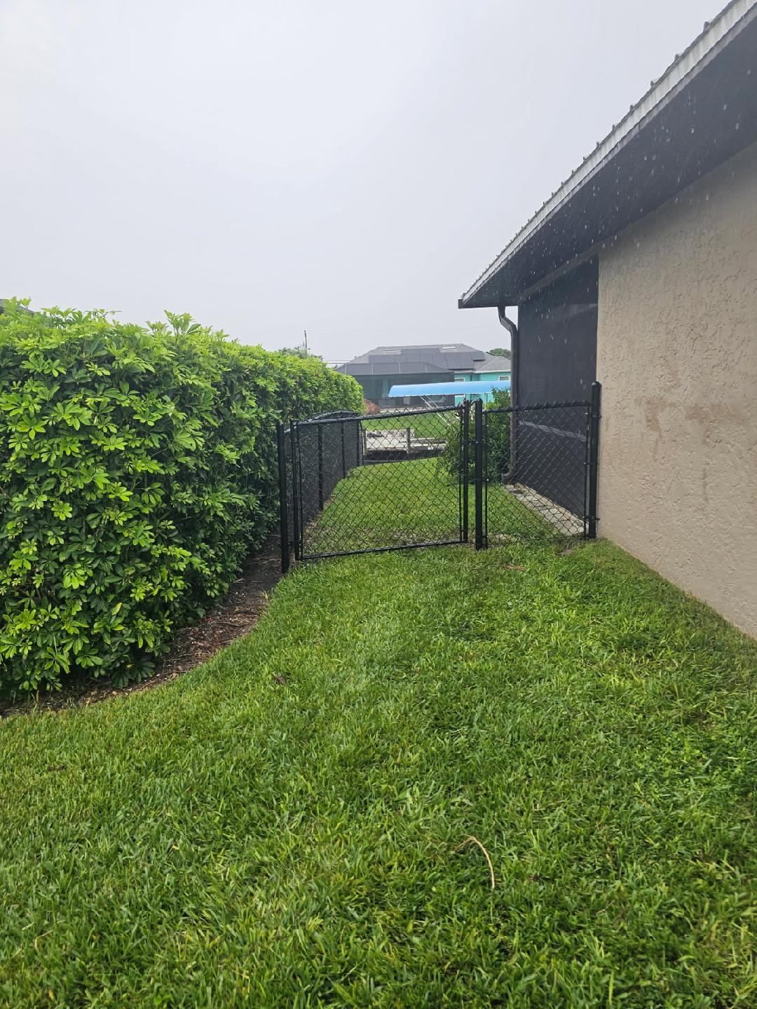 Narrow grassy side yard with a black metal gate, hedge on the left, and house wall on the right.